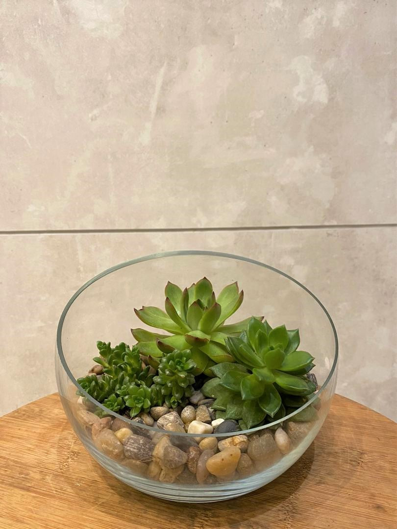 WhatsAppImage2020-05-28at20.16.37..............