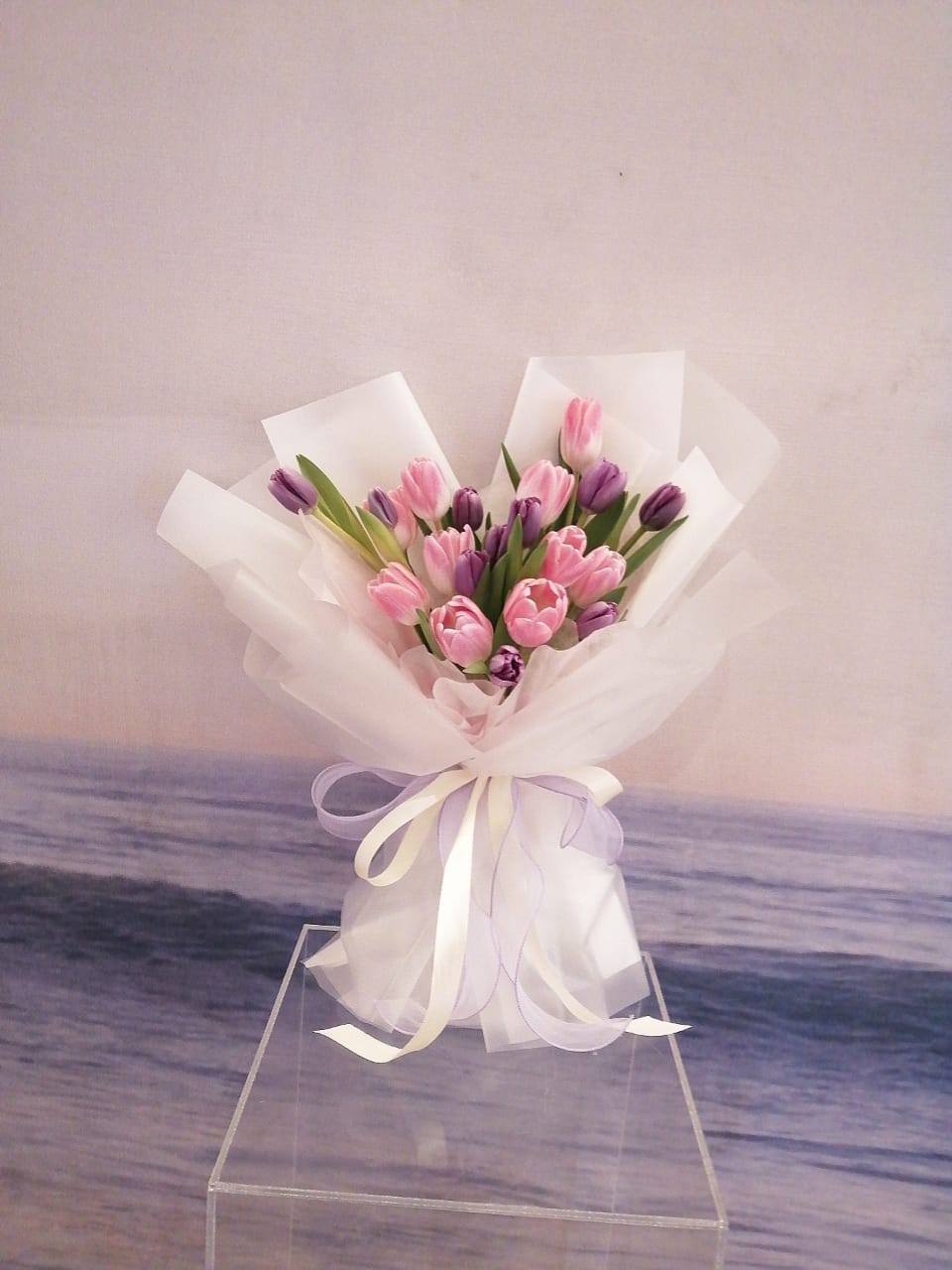 image_380b28e9-8b5f-46f1-b3d1-9ce2ee7f3822