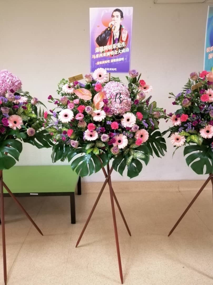 image_8230c1a3-7073-447f-81a2-7e15f0f77729