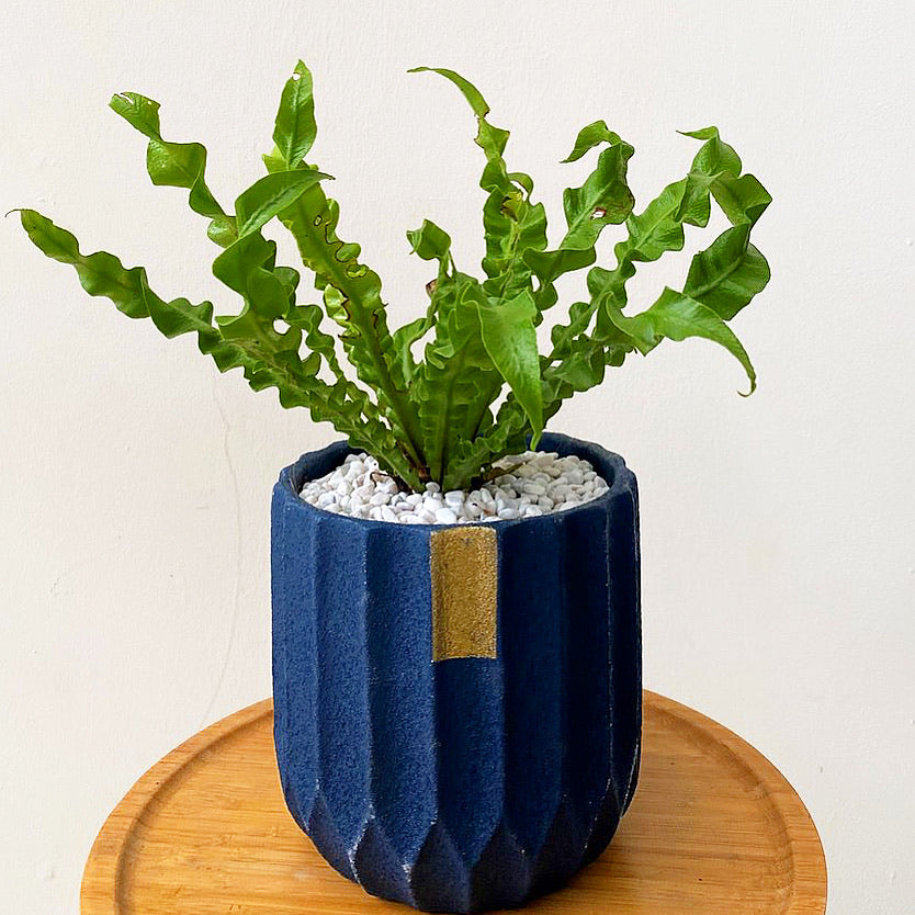 image_b06b414f-7ae4-47d2-9316-6ac31fae09d0