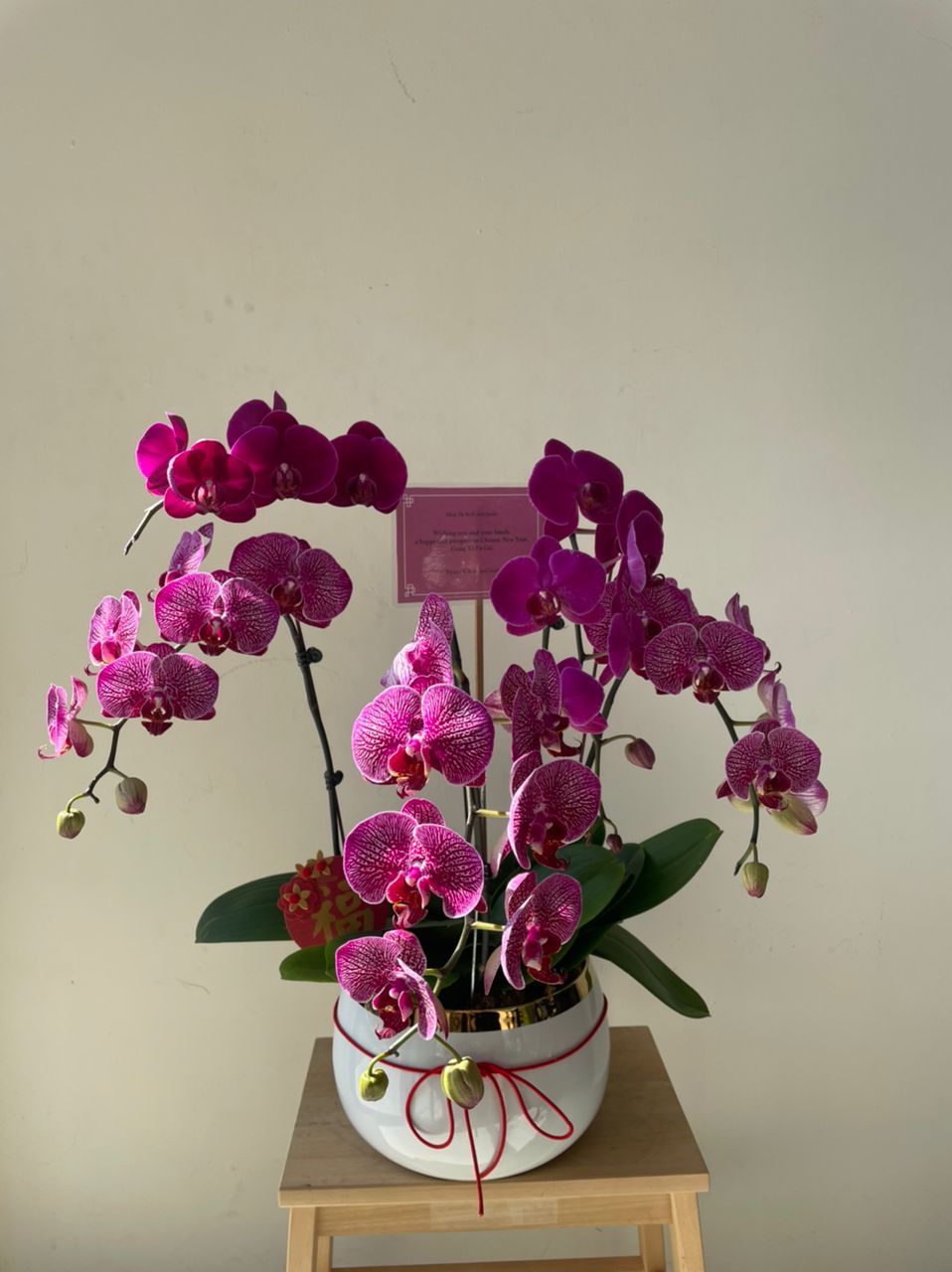 image_b2874a93-31c9-4252-9dad-2da53c950eca